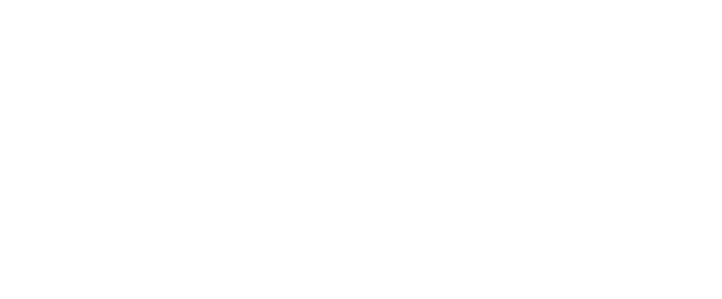 The AIC