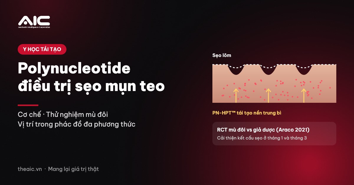 Polynucleotide PN-HPT™ trong điều trị sẹo mụn teo – cơ chế và bằng chứng lâm sàng
